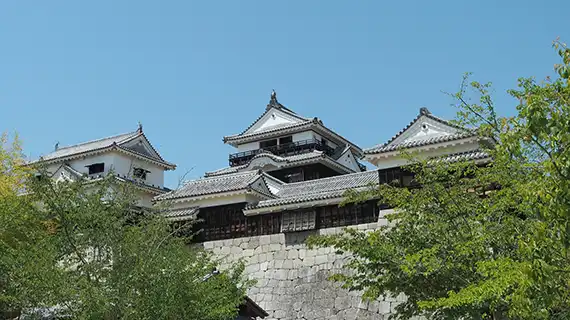 愛媛