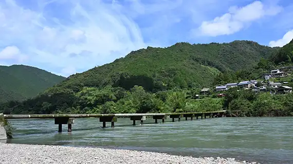 高知