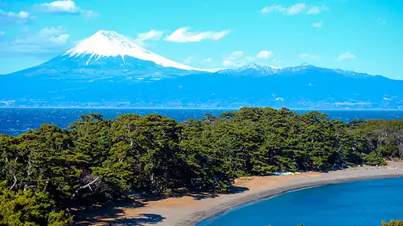 静岡