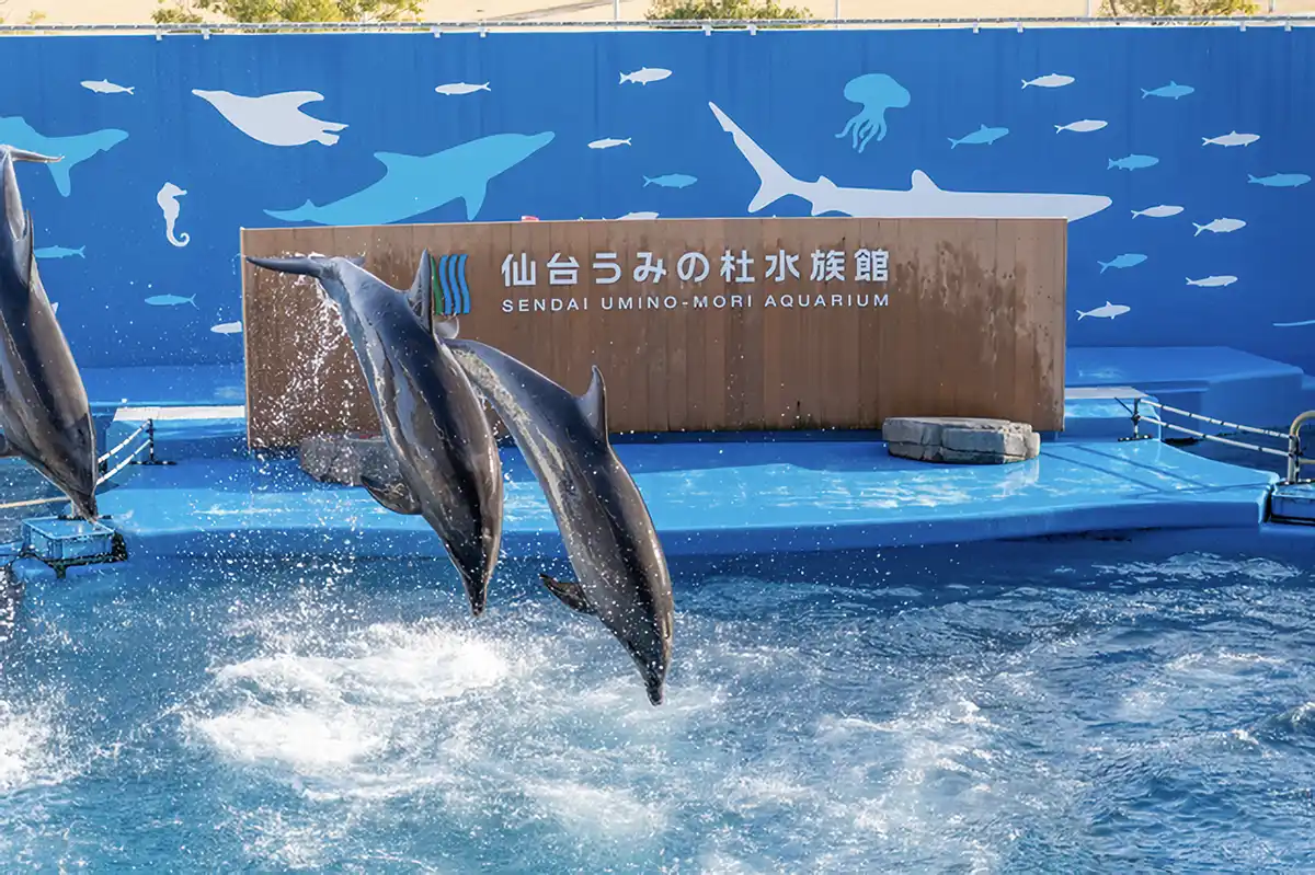 仙台うみの杜水族館