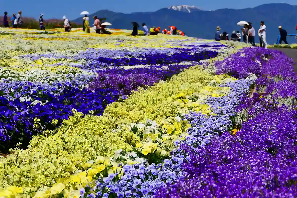 信州スカイパーク