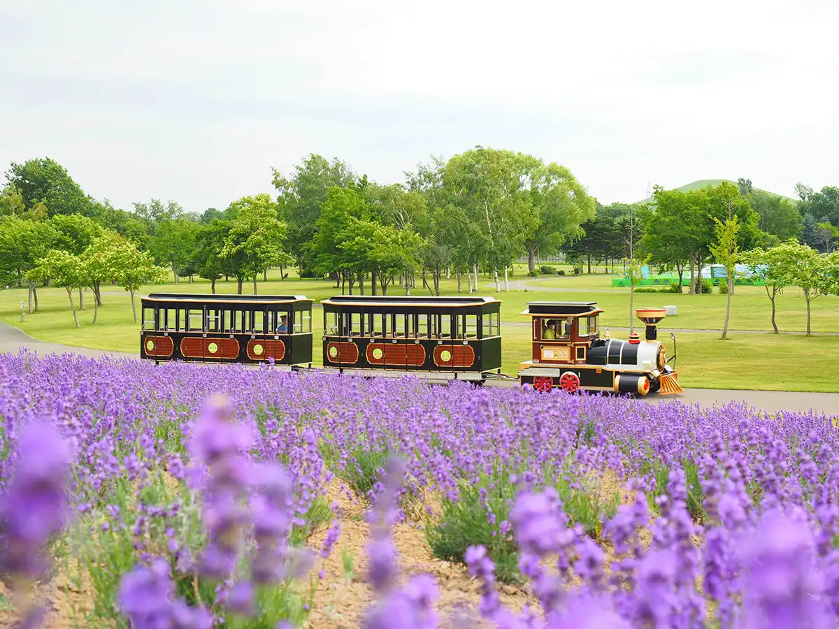 サッポロさとらんど