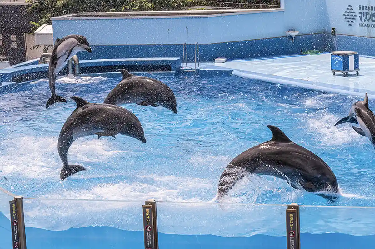 新潟市水族館 マリンピア日本海