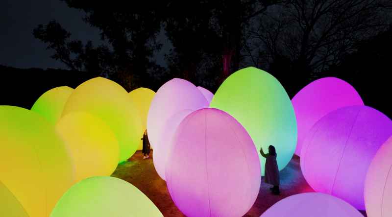 チームラボ《自立しつつも呼応する生命の森》&copy; チームラボ  ※参考画像