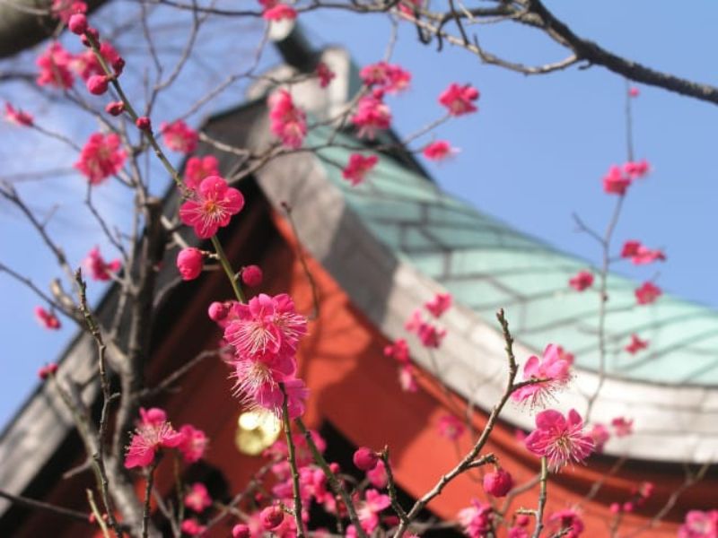 竹の庭「報国寺」