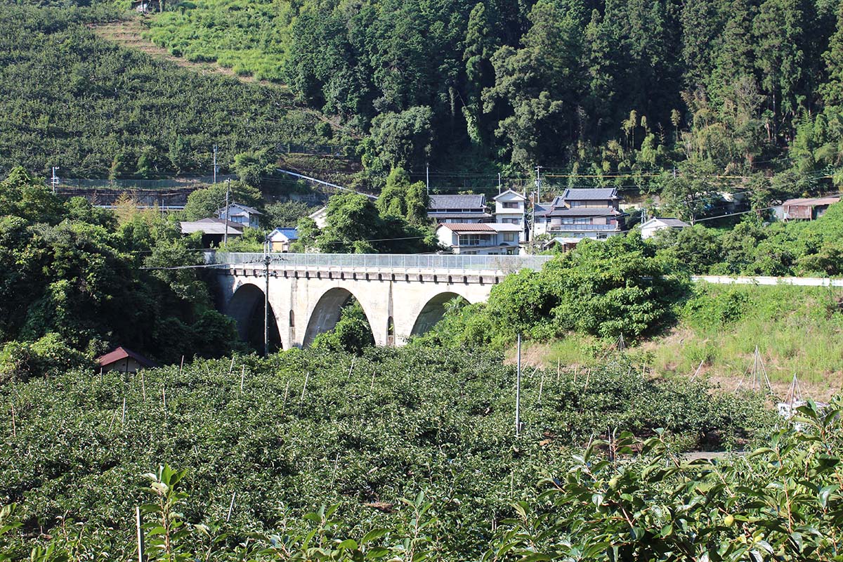 出発決定 禁止エリアを特別開放 幻の鉄道 五新線 廃線跡を歩こう ローソントラベル