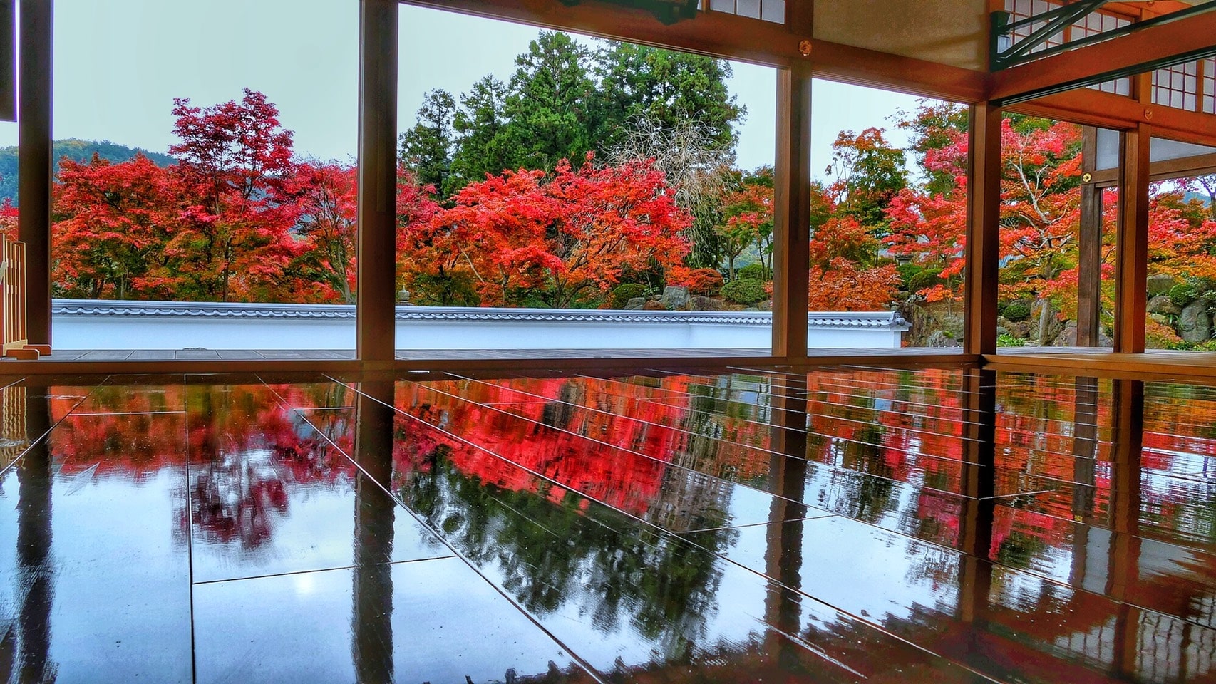 秋の床もみじ特別公開　画像提供：宝徳寺