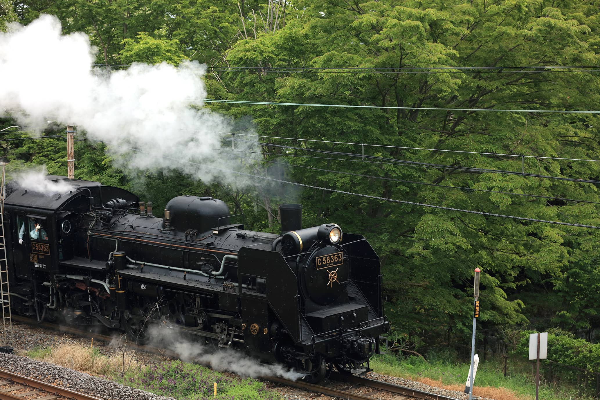 疾走と走る蒸気機関車C58363　ⓒ秩父鉄道株式会社