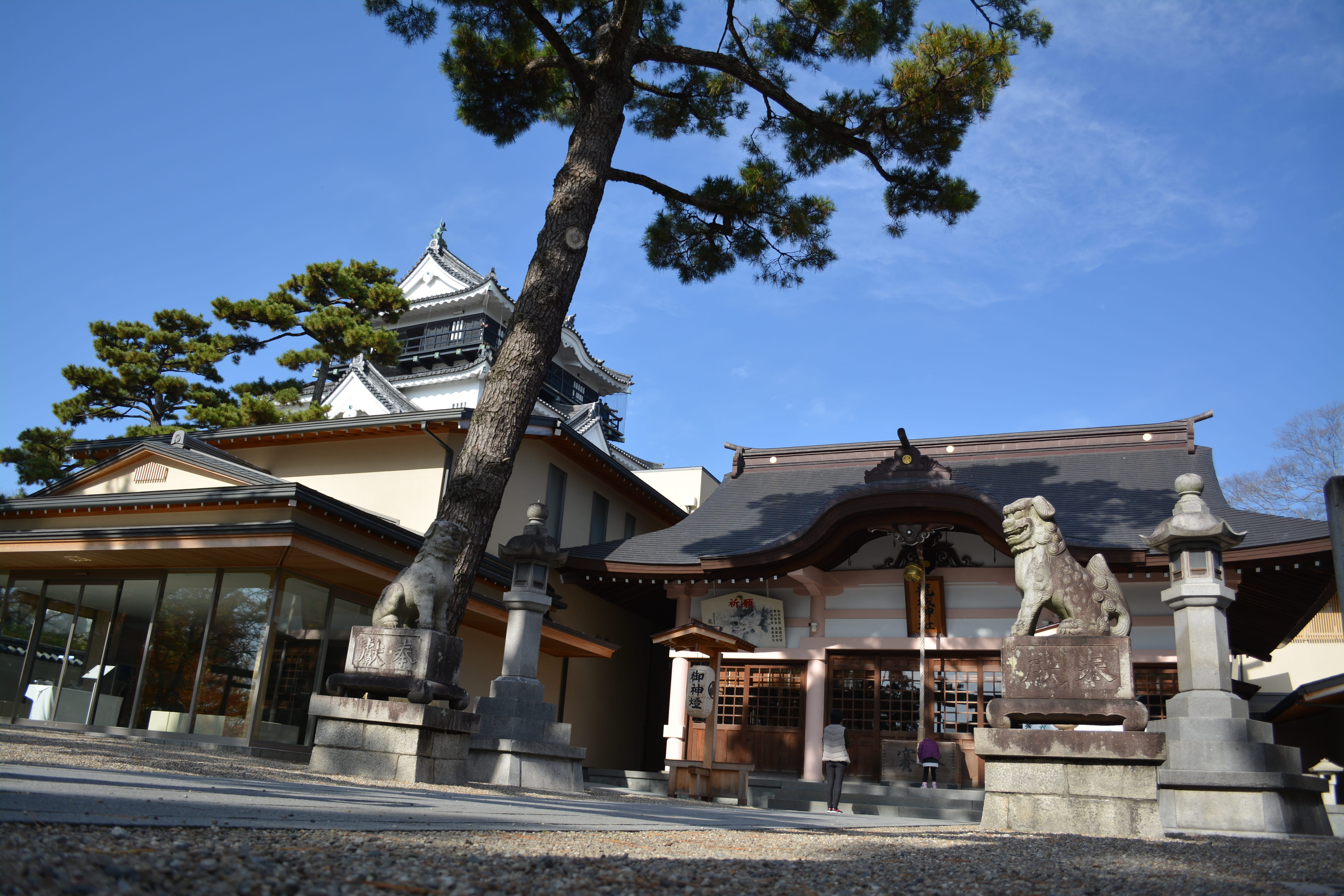 岡崎城と龍城神社　写真提供：愛知県岡崎市
