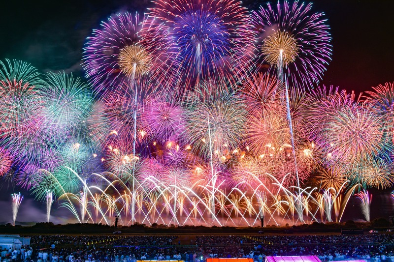 酒田市提供