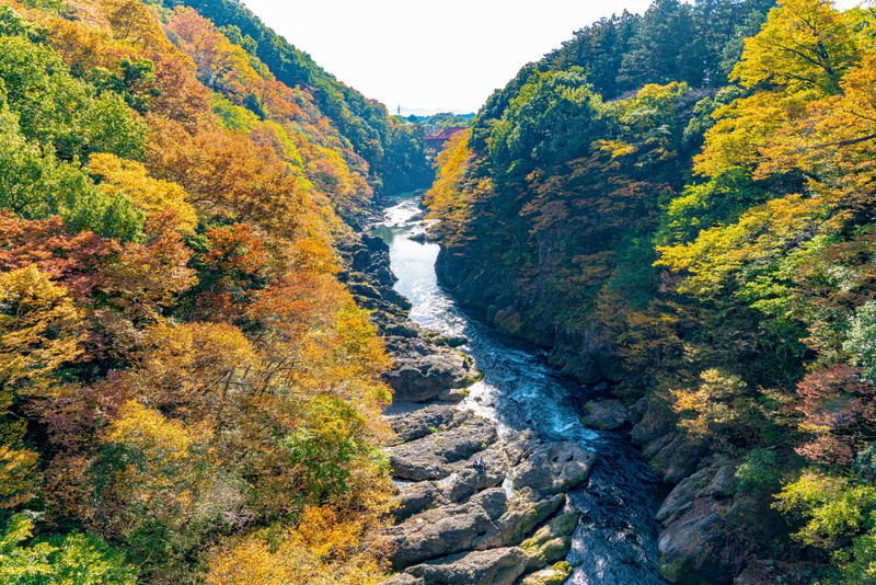 神秘的な色で染まる　高津戸峡