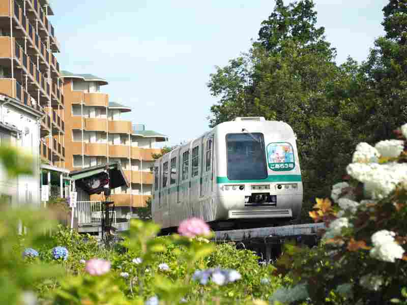 新交通システム　山万ユーカリが丘線 1000形「こあら号」
