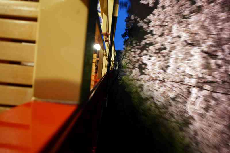 桜の中を走ります！夜桜トロッコ　ⓒ小湊鐵道株式会社